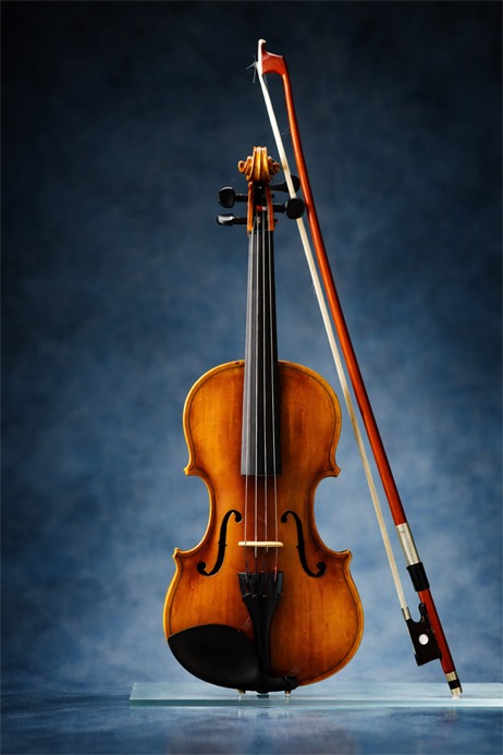 Violin Icon